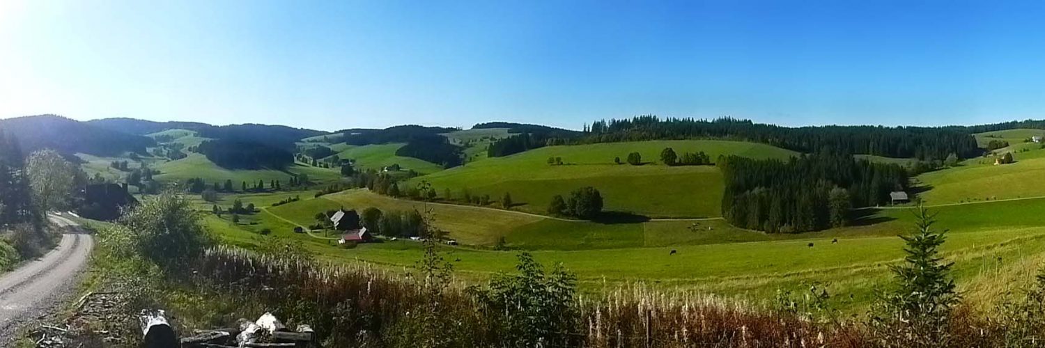 panorama-jostal-2022