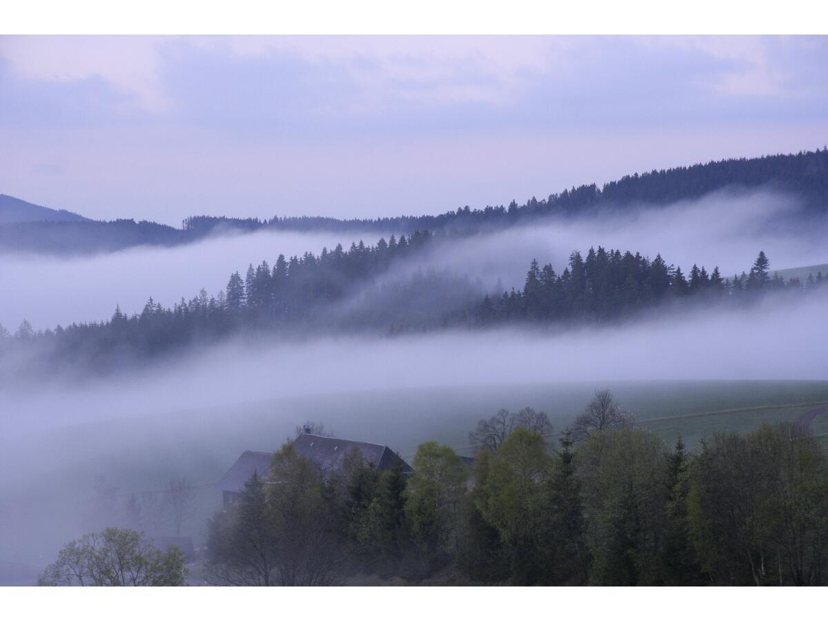 2019.10.12-05-nebelschwade_oberjostal-simonsho_for-Homepage_resize