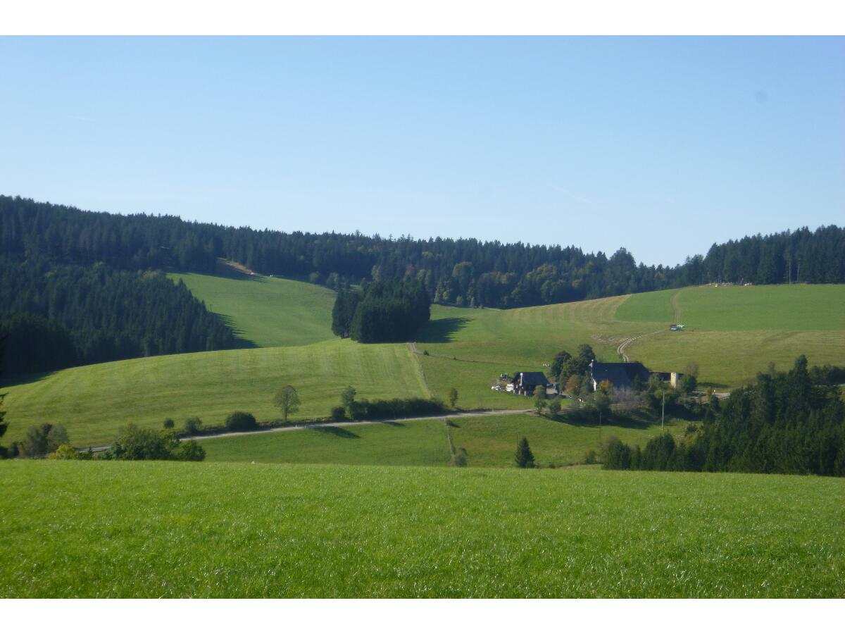 P1180561_for-Homepage_resize