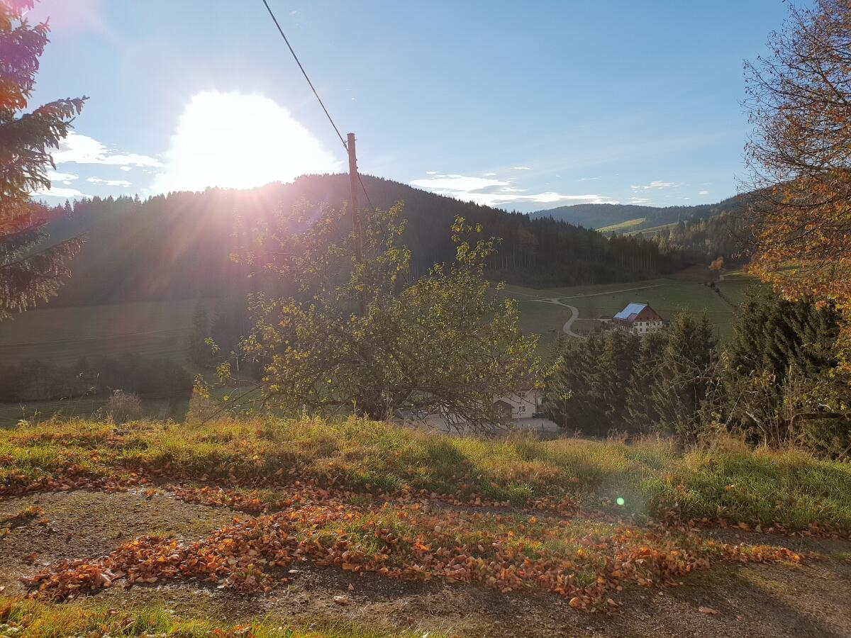 vom-Schweizerhiesle-ins-Tal_for-Homepage_resize